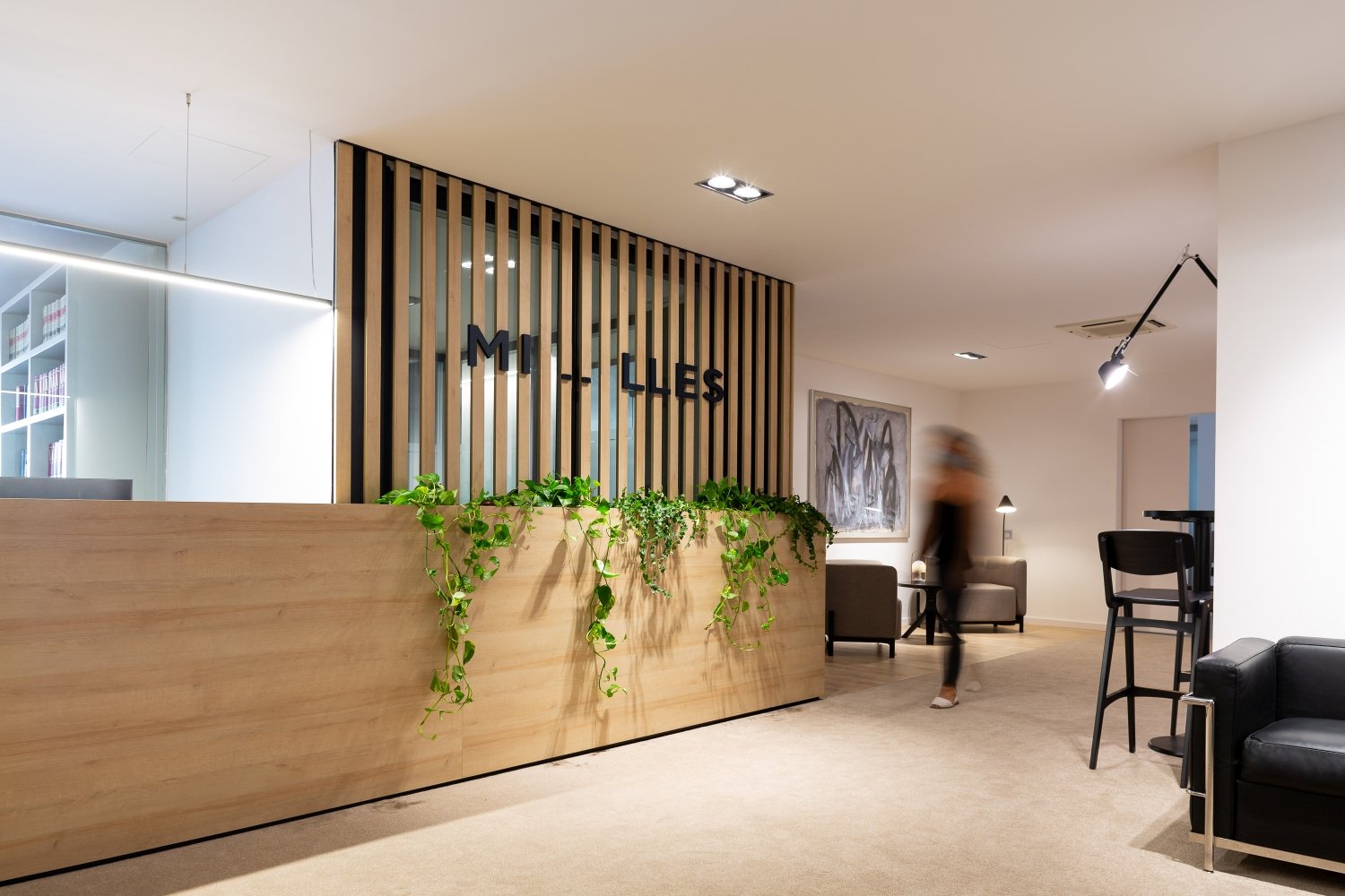 Mostrador oficinas con plantas preservadas